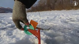 МЕШОК РЫБЫ И АДРЕНАЛИНА!! ОПАСНЫЙ И ЩЕДРЫЙ ПЕРВЫЙ ЛЁД 2024- 2025!