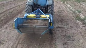 картофелекопалка в работе с мтз 82