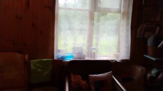 14 июня 2024 г. смотреть онлайн