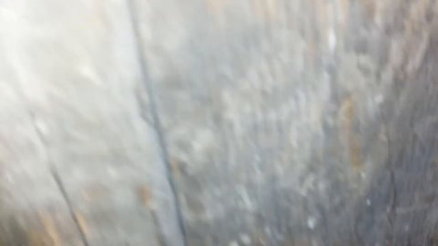 Ночная жизнь нутрий смотреть онлайн