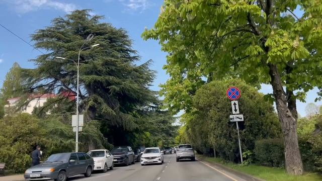 Сочи Каштаны, улица чайковского! смотреть онлайн