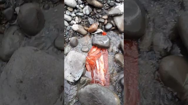 Рыбалка ош смотреть онлайн