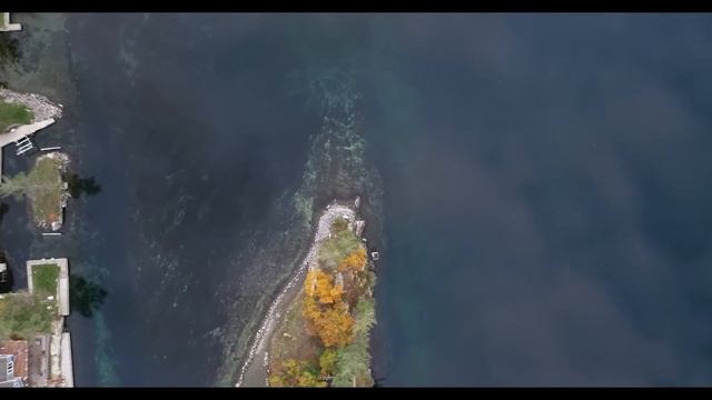 Where is the camera located at Holiday Island that is streamed LIVE on YouTube, watch and see! смотреть онлайн