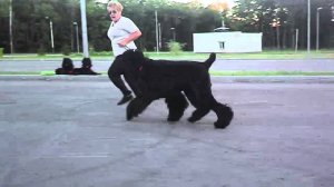 Филя тренировка 2
