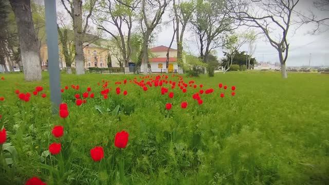Прогулка по весеннему городу. Видеозарисовка