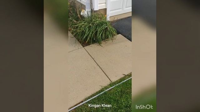 Softwash & concrete cleaning. Before & After @kinganklean8791 смотреть онлайн