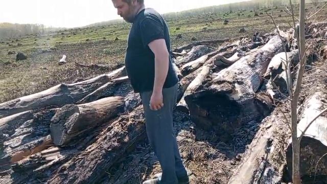 деревенские будни