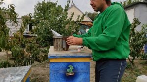 Обработка от клеща правильно Апивароль