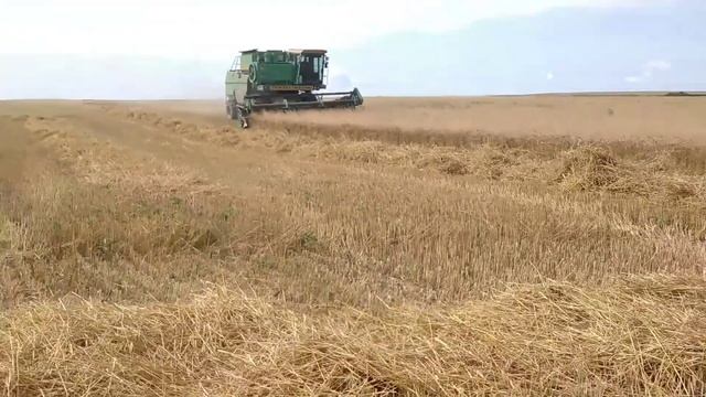 Уборка пшеницы 2021! Дон 1500Б. смотреть онлайн