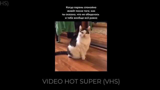 Мстя не дремлет