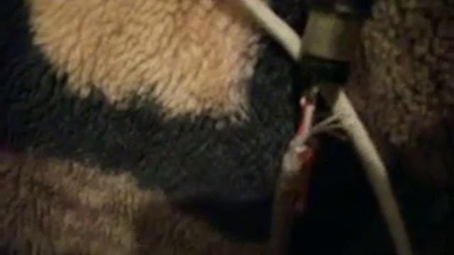 усилитель 1000ват каскад разгона так должно быть? смотреть онлайн