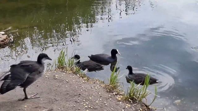 Их больше не узнать смотреть онлайн