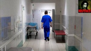 Стонущая щель. Страшные истории на ночь 🫣🫣🫣