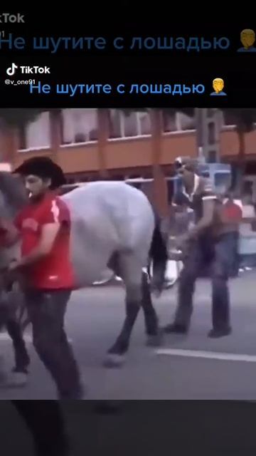 Лошадь. смотреть онлайн