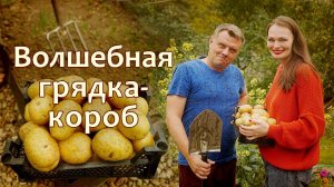 С такой грядки УРОЖАЙ ВЕДРАМИ! Грядка-короб без секретов и заморочек