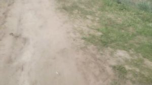 НАС ВЫГНАЛИ ИЗ ДОМА (1 часть )