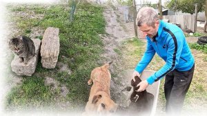 Деревня живёт, здесь пахнет землёй