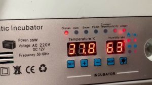 Курица бросила цыплят🤷🏼_♀️или нет_ 4 день инкубации_ 19 апреля 2025 года