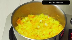 Car jam -Bus parking щавельный суп