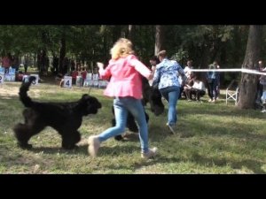 Суки-юниоры Чемпионат НКП 2018