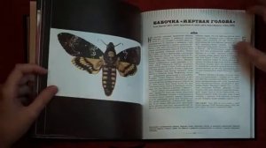 По ту сторону жизни. 100 историй о смерти через призму времени, науки и искусства