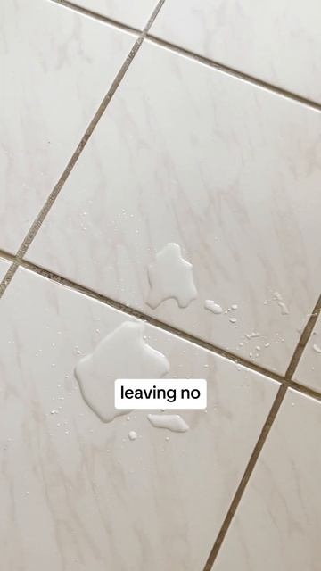 Wave goodbye to pet odors with the swipe of a Wizz! 👋🐕 #shorts смотреть онлайн