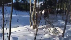 Гуляем в заречном парке Pogoda v Sibiri