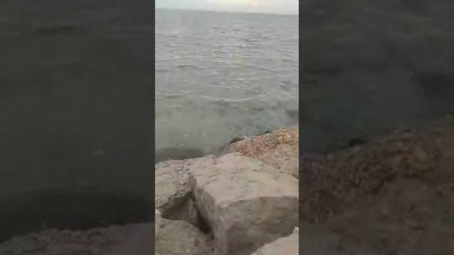 продолжение#рекомендации #топ#таро#666#ведьма#магия#новый#год#ведьма#стрим#акция#ритуал#сила#прямой смотреть онлайн