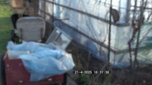 21 04 2025 Сады цветут