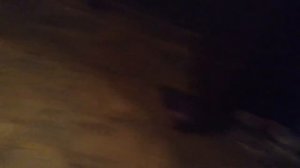 Вызов Спрингтрапа