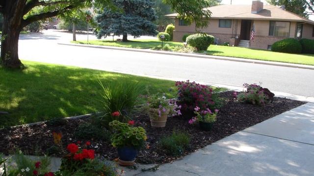 Cheri Ann Tilton смотреть онлайн