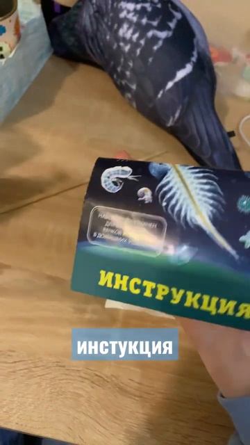 ФИКСПРАЙС #рек #рекомендации #youtube #ютуб #fypシ #актив #shorts #short #fyp #fixprice #врек #love смотреть онлайн