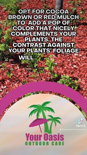 Enhance your curb appeal with COLOR! смотреть онлайн