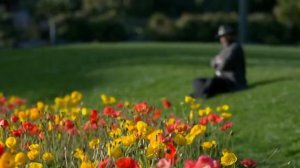 РАЗВИВАЮЩИЕ МУЛЬТИКИ ДЛЯ ДЕТЕЙ УПРЯМАЯ ГАЗЕЛЬ