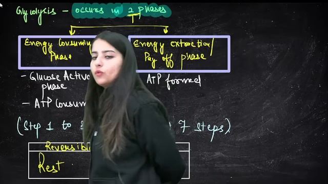 Respiration in Plants | Part 1 | Biology | NEET 2024 | Seep Pahuja смотреть онлайн