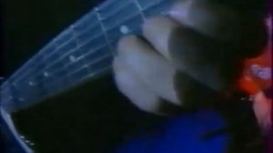 Bering Strait (USSR)/Берингов пролив-Мельница миров