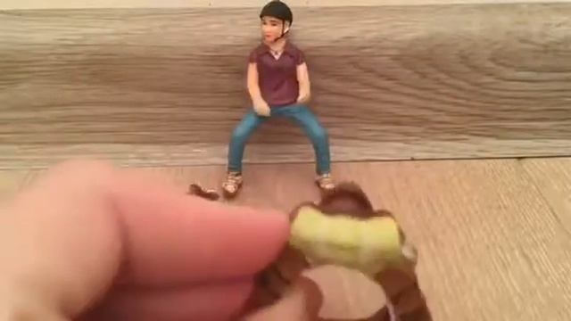 Обзор на всадницу шляйх (поход) смотреть онлайн