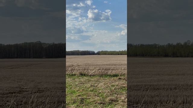 Охотник за тракторами