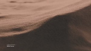 Wild Yucca новинка La Natura от TechniStone