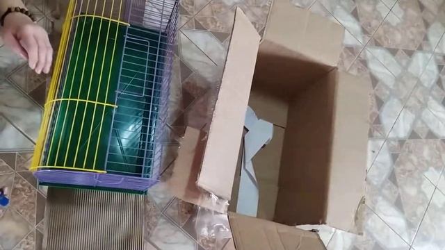 Распаковка клетки для кролика смотреть онлайн