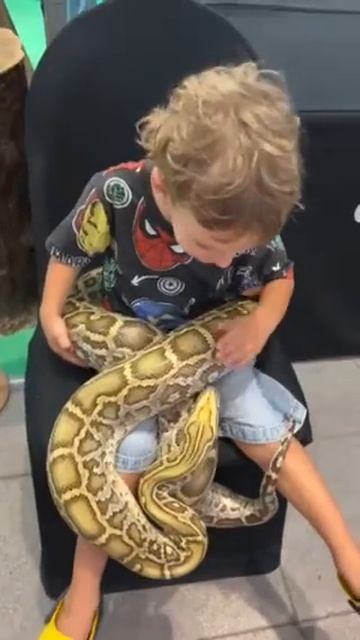 Boy with python. Is it dangerous? What do you think? #python #funny #snake  #childrenanimalvideos