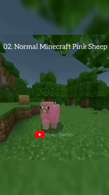 Minecraft Pink Sheep Evolution 😲 смотреть онлайн