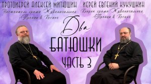 Убоится жена мужа.Любовь к ближнему.Хвастовство.Лукавство/ДВА БАТЮШКИ/иерей Евгений Кукушкин Чаcть 3