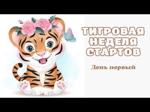 ТИгровая неделя стартов / день первый/ 11.10.2021 #тигровая_неделя_стартов_