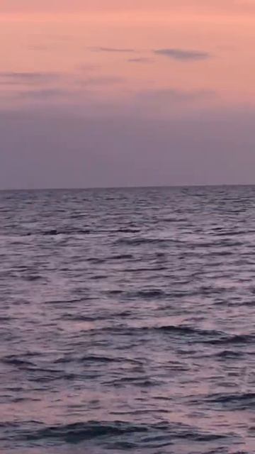 Срочно 🔴В 18:29 в Черном море, недалеко от берега был зафиксирован странный обект, похожий на мину. смотреть онлайн