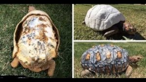 Интересные снимки обо всём на свете