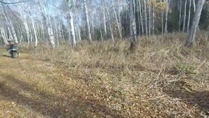 Как не надо перепрыгивать бревно на эндуро