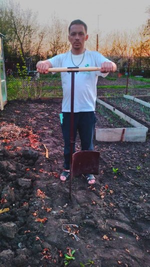 Использование ручного плуга "Вятский пахарь"  на реальном участке.