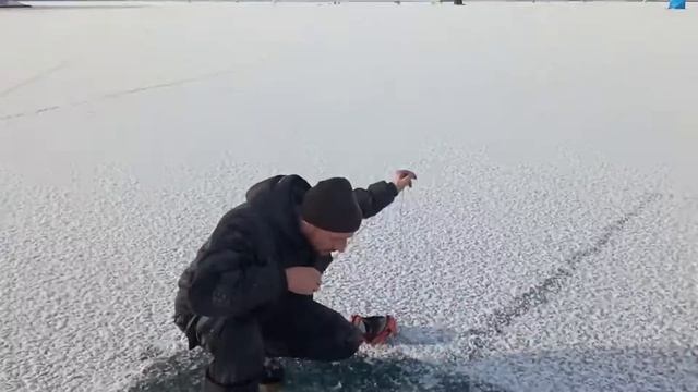 Рыбалка