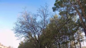 Покатушки на природу №24.😊